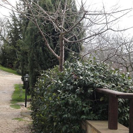 Agriturismo Le Valli Acuto Exterior photo