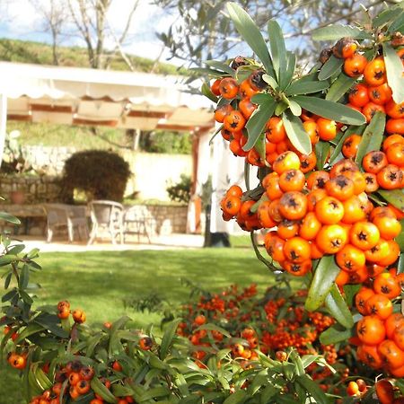 Agriturismo Le Valli Acuto Exterior photo