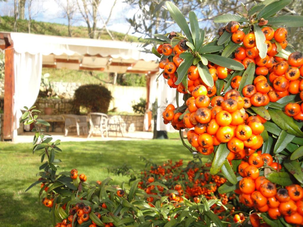 Agriturismo Le Valli Acuto Exterior photo